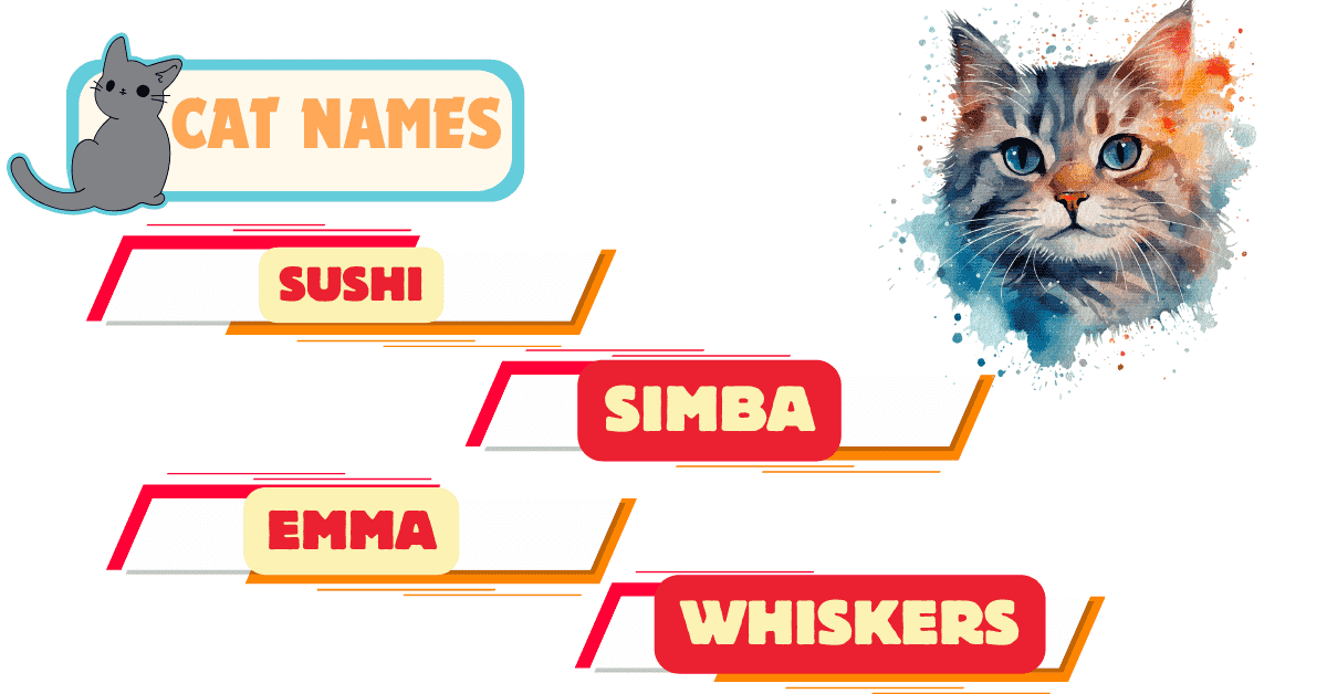 What Is Your Cat Name | Origin Popularity & Story