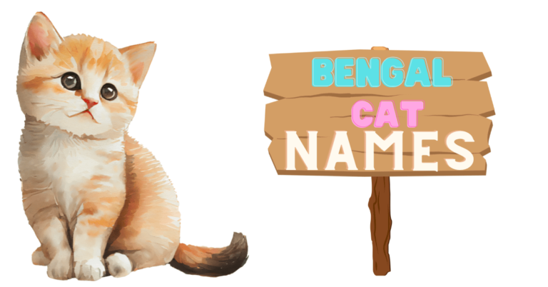 Top 130 Bengal Cat Names With Meaning And Origin